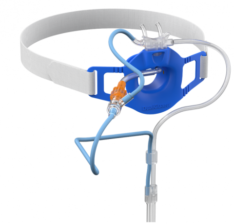 Combined bite block and Detachable Dual Nasal Cannula