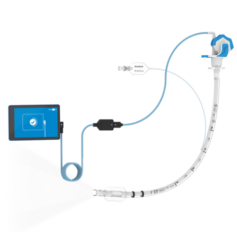 Video Stylet with Monitor